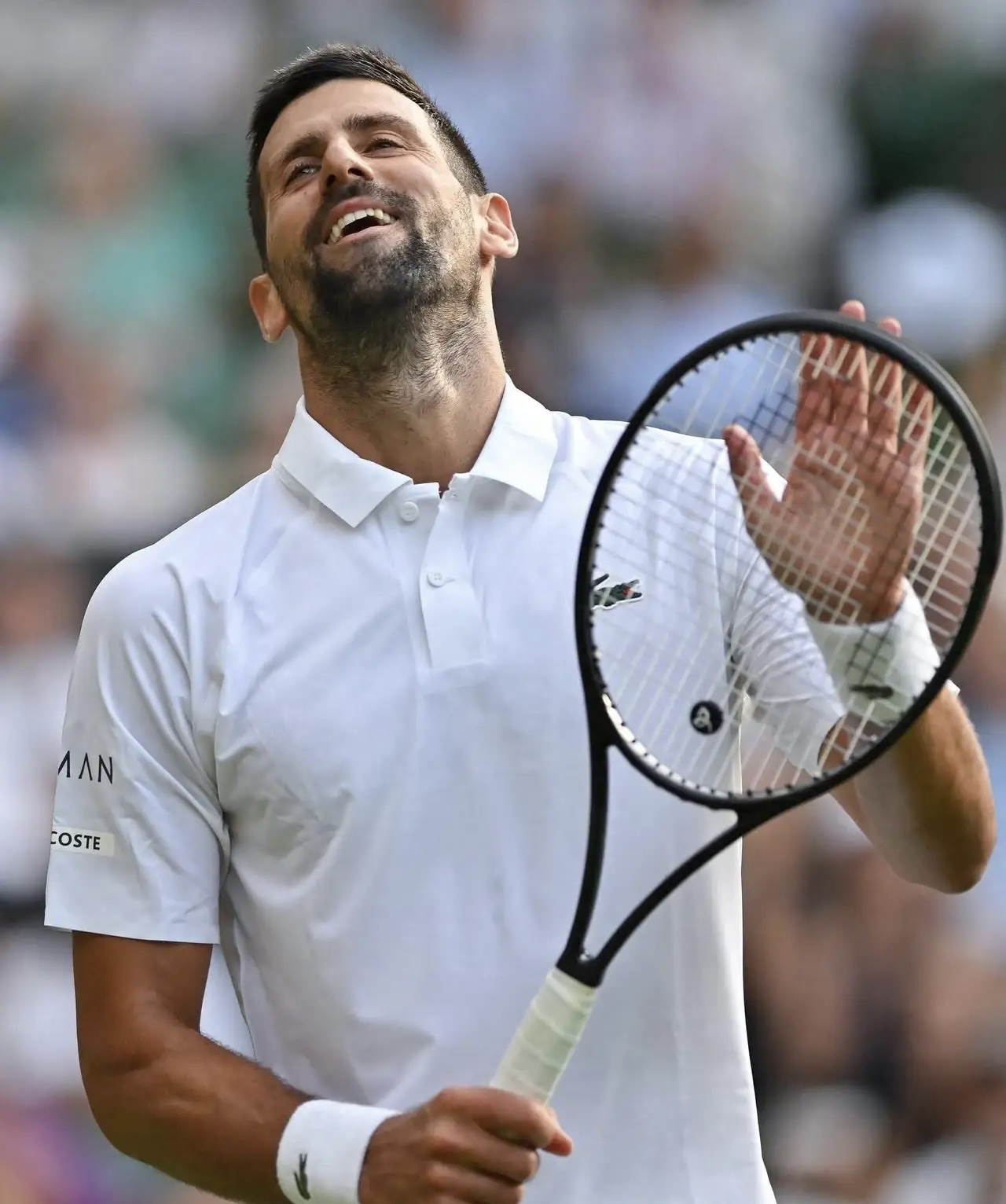 温网翻盘ATP总决赛，德约科维奇统治全场